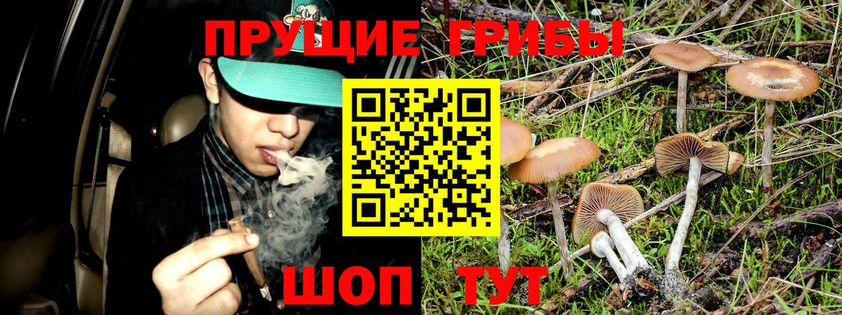 Псилоцибиновые грибы прущие грибы Семилуки