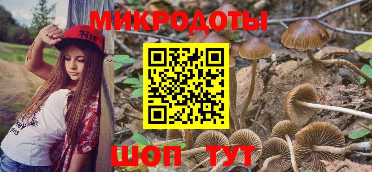 Семилуки  Галлюциногенные грибы MAGIC MUSHROOMS  магазин продажи   Псилоцибиновые грибы Psilocybine cubensis  Вход с VPN 